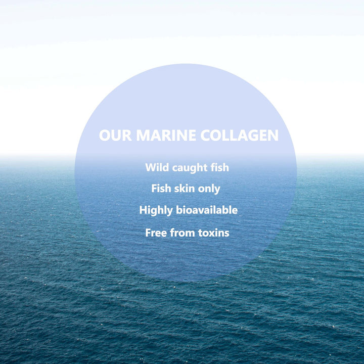 wild caught fish skin marine collagen powder