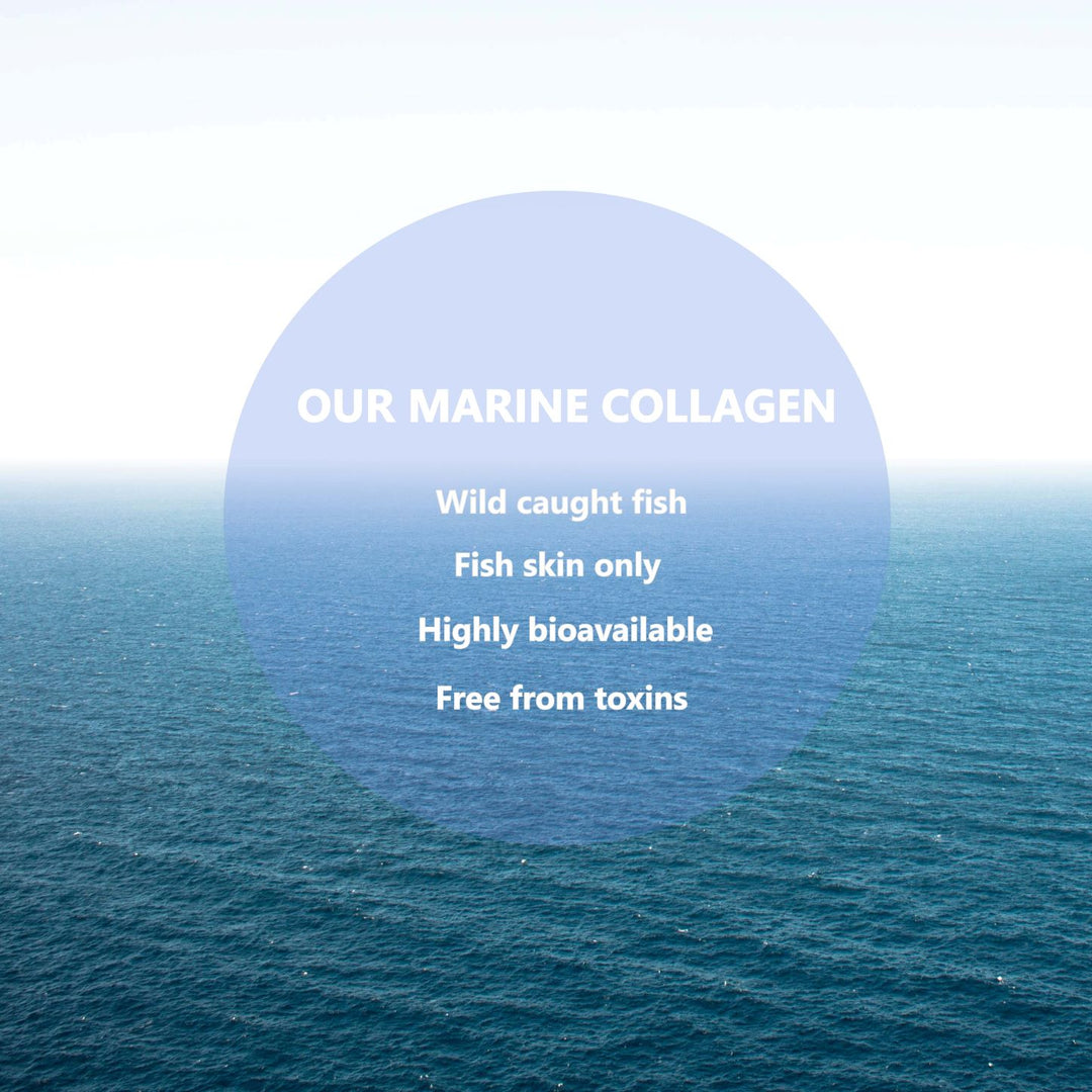 Highly bioavailable marine collagen